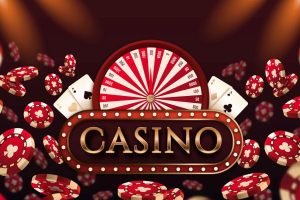 Лайв игры в Selector Casino: особенности трансляций